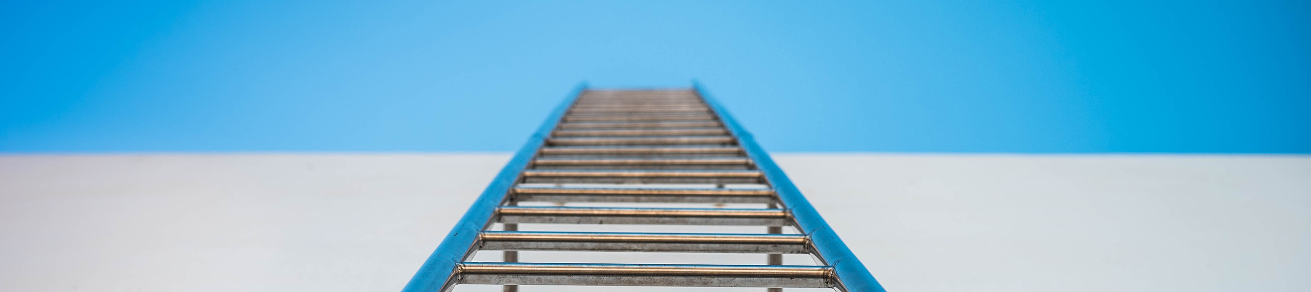 Steuerberater Bühler